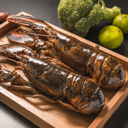Live-lobster-768×768