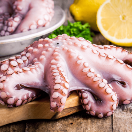 octopus-768×768