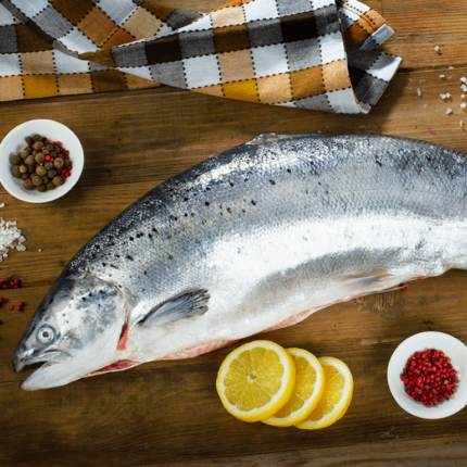 salmon-768×768