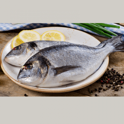 seabream-768×768